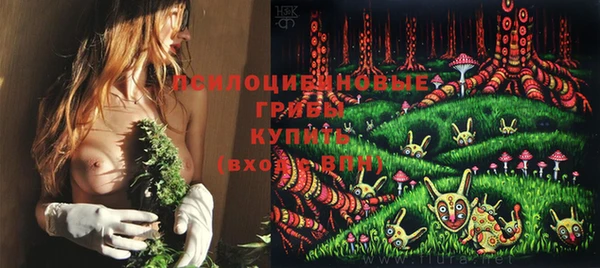 прущий лед Армянск