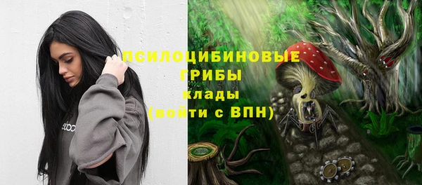 крисы Арсеньев